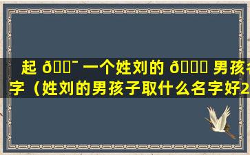 起 🐯 一个姓刘的 🐘 男孩名字（姓刘的男孩子取什么名字好2020年）